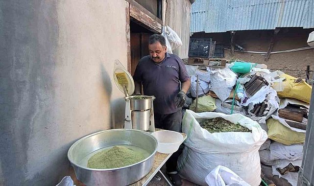 120 çeşit bitkinin karışımıyla elde edilen baharat; Zetrin