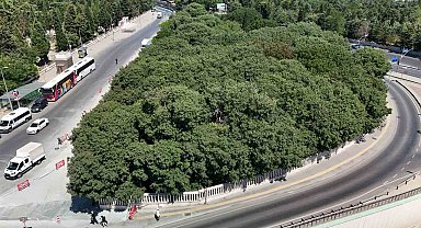 148 sene öncenin Ömer Halis Demir'i: Çerkes Hasan Efendi'nin mezarına büyük vefasızlık