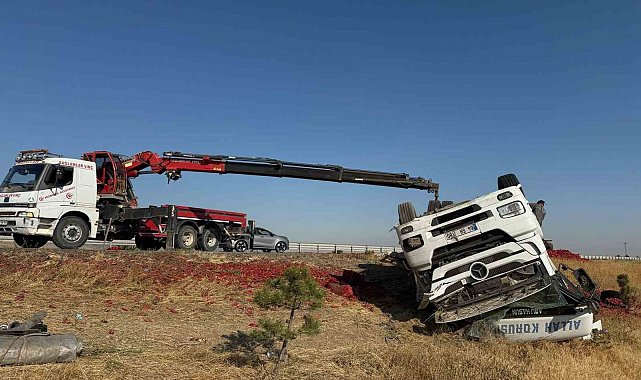 20 ton salçalık biber kazada çevreye dağılarak ziyan oldu