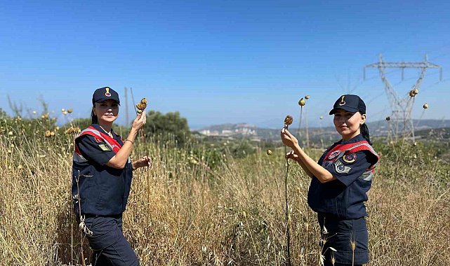 'Tülüşah' bitikisine zarar veren 557 bin lira ceza ödeyecek