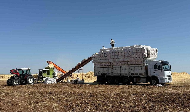 45 derece hissedilen sıcak havada saman yüklüyorlar