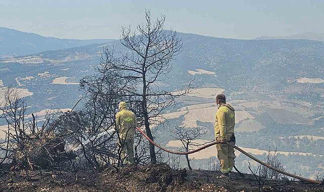 7 hektarlık alanın zarar gördüğü yangında 3 bin hektar orman kurtarıldı