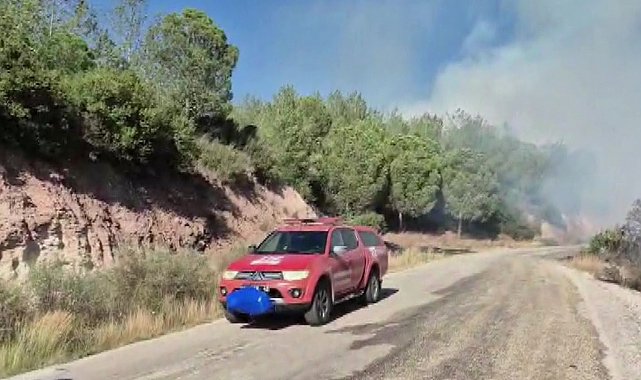 Adana'da orman yangını