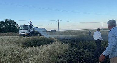 Adilcevaz'da tarlada çıkan yangın korkuttu