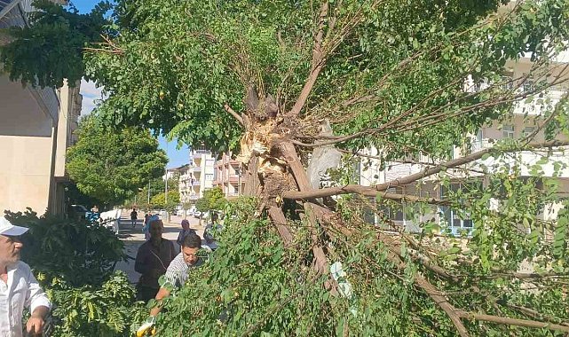 Adıyaman Gölbaşı'nda fırtına etkili oldu