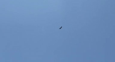 Adıyaman'da F16 savaş uçağı nefes kesti