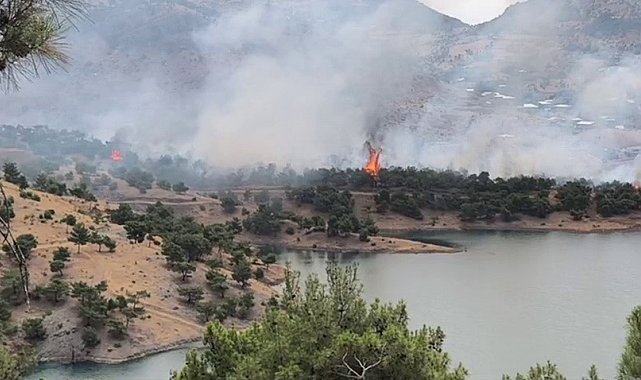 Adıyaman'da ormanlık alanda yangın