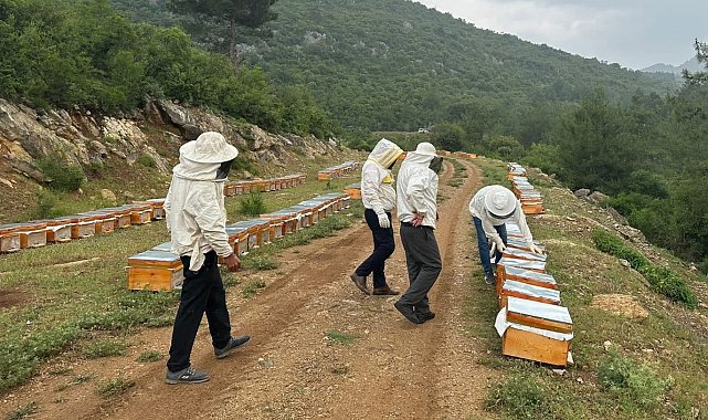 Adıyamanlı arıcılar, 2025 yılı bal fiyatlarını açıkladı