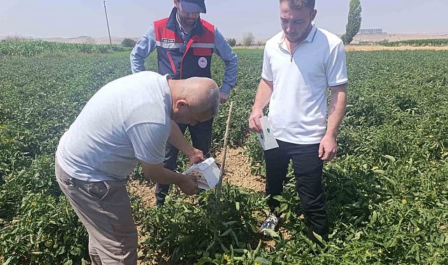 Afyonkarahisar'da bitki sağlığı faaliyetleri devam ediyor