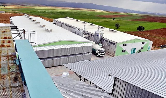 Afyonkarahisar'daki yumurta firmasına, FETÖ soruşturması kapsamında kayyum atandı