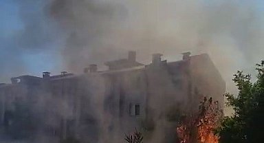 Ağaçlar cayır cayır yandı