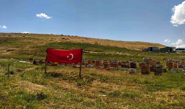 Ağrı ay yıldızlı bayraklarla donatıldı