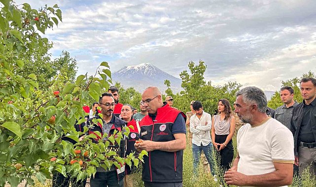 Ağrı Valisi Koç, Doğubayazıt'ta bir dizi incelemelerde bulundu