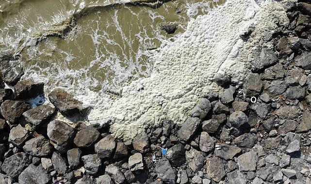 Akdeniz'de suyun yüzeyinde oluşan beyaz tabaka tedirgin etti