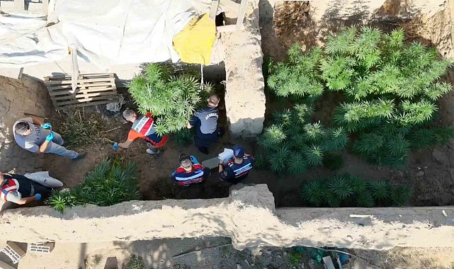 Aksaray'da dron destekli uyuşturucu operasyonu: 1 tutuklama