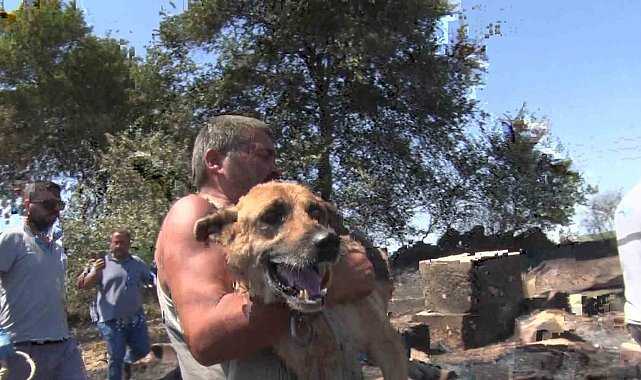 Aksu'da yürek yakan yangında evler hasar gördü, hayvanlar telef oldu