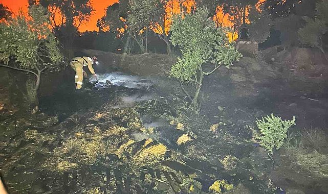 AKUT Afyonkarahisar ekibi Temmuz yangınlarında görev yaptı