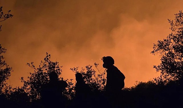 AKUT Eskişehir ekibi yanmak üzere olan hayvanları kurtardı