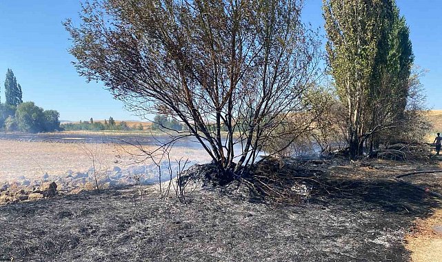 Alaca'da anız yangını: 5 dönüm arazi zarar gördü
