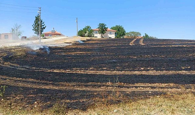 Alaca'da anız yangını