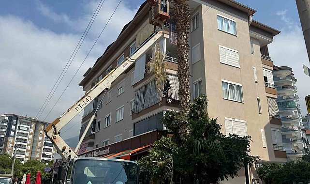Alanya Belediyesi ve AEDAŞ'dan yangın riskine karşı önlem