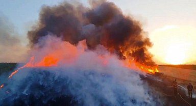Alev alev yanan buğday tarlasını söndürmek için seferber oldular