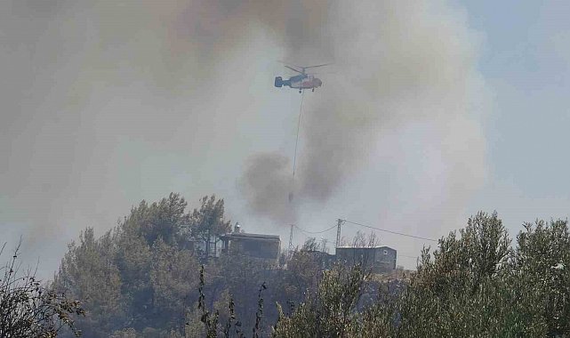Alevler bir anda evinin yanına geldi, yaşlı adam kabusu yaşadı