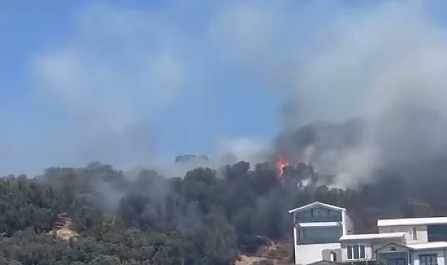 Alevler sahilden görüldü