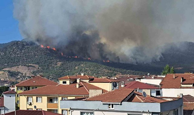 Alevler YHT besleme trafosuna yaklaşınca tedbir alındı