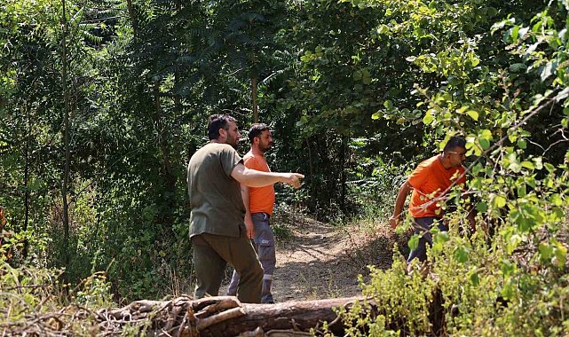 Alevlerin sardığı orman yangınlarında can dostları için harekete geçtiler