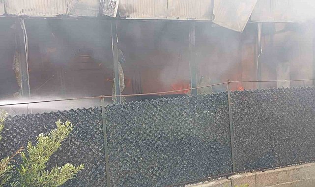Alevlerin yükseldiği kafe kullanılmaz hale geldi