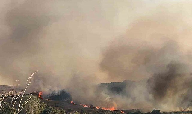 Aliağa'da otluk alanda yangın