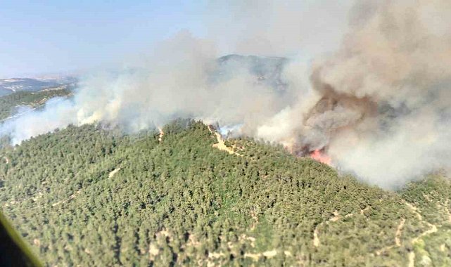Altıeylül'de orman yangını