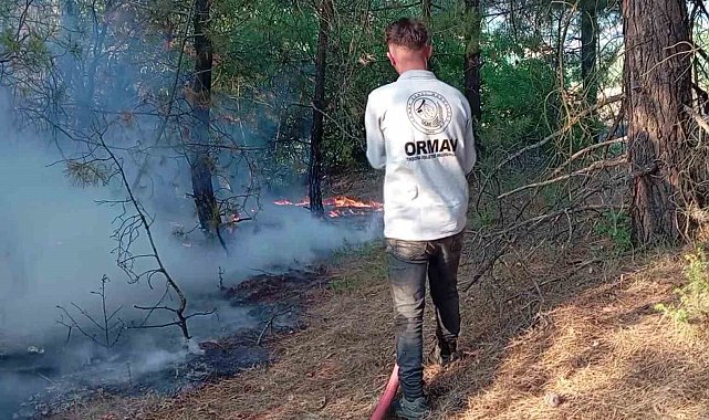 Amasya'da orman yangını