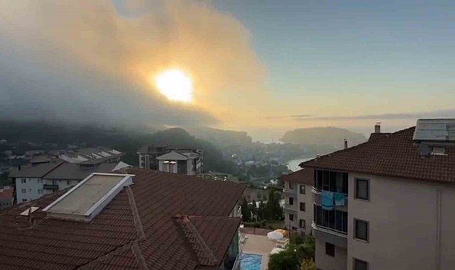 Aniden ortaya çıktı, korkulu anlara neden oldu