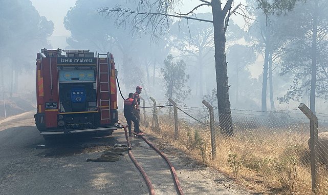 Anız yangını ormana sıçradı, 16 hektar kül oldu