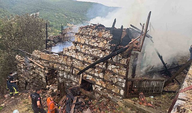 Anızda çıkan yangın asırlık düğmeli evleri küle döndürdü