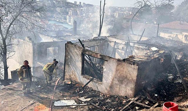 Ankara'da ağaçlık alanda çıkıp gecekondulara sıçrayan yangın söndürüldü