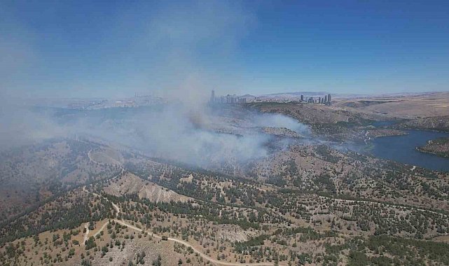 Ankara'daki orman yangını dron ile görüntülendi