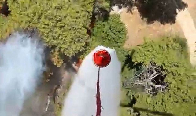 Antalya Muratpaşa'da orman yangını