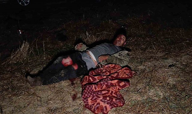 Antalya'da aslanın kaçtığı hayvanat bahçesinin denetimi sürüyor