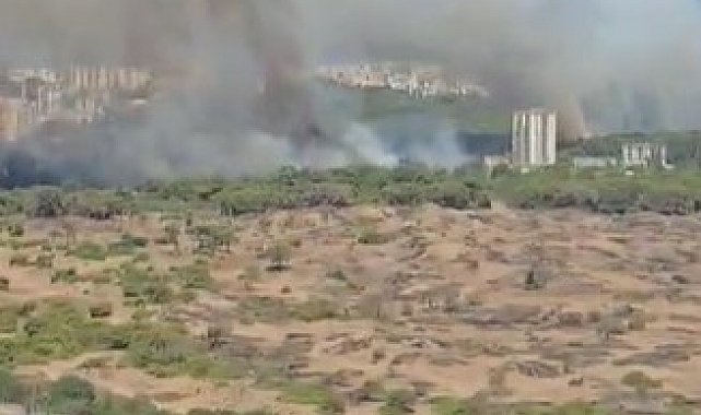 Antalya'da orman yangını