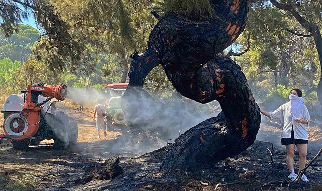 Antalya'daki orman yangınında duygulandıran anlar