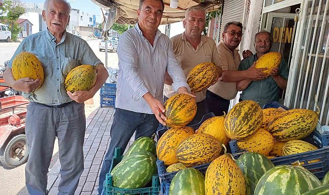 Araban Ovası'nda kavun hasadı başladı