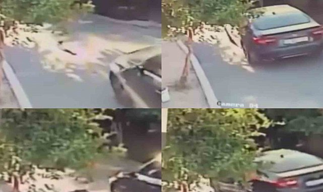 Aracın üzerinden geçtiği köpek telef oldu