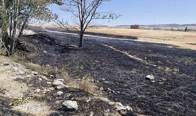 Arazide çıkan yangına çiftçi ve itfaiye ekipleri müdahale etti