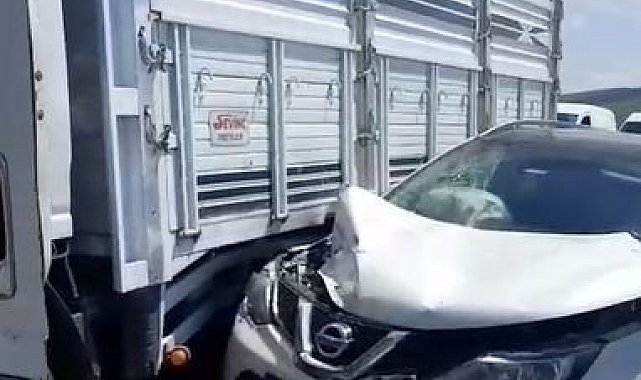 Ardahan'da kamyonet ile otomobil çarpıştı: 1 yaralı