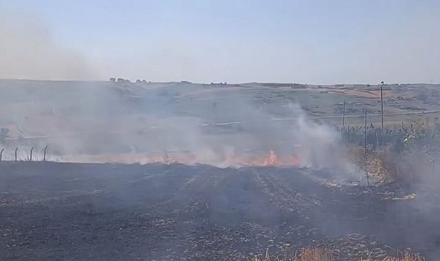Arnavutköy'de tarla yangını