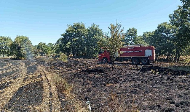 Arpa ekili alanda çıkan yangın ormanlık alana sıçramadan söndürüldü