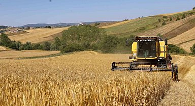 Arpa hasadı bereketli başladı